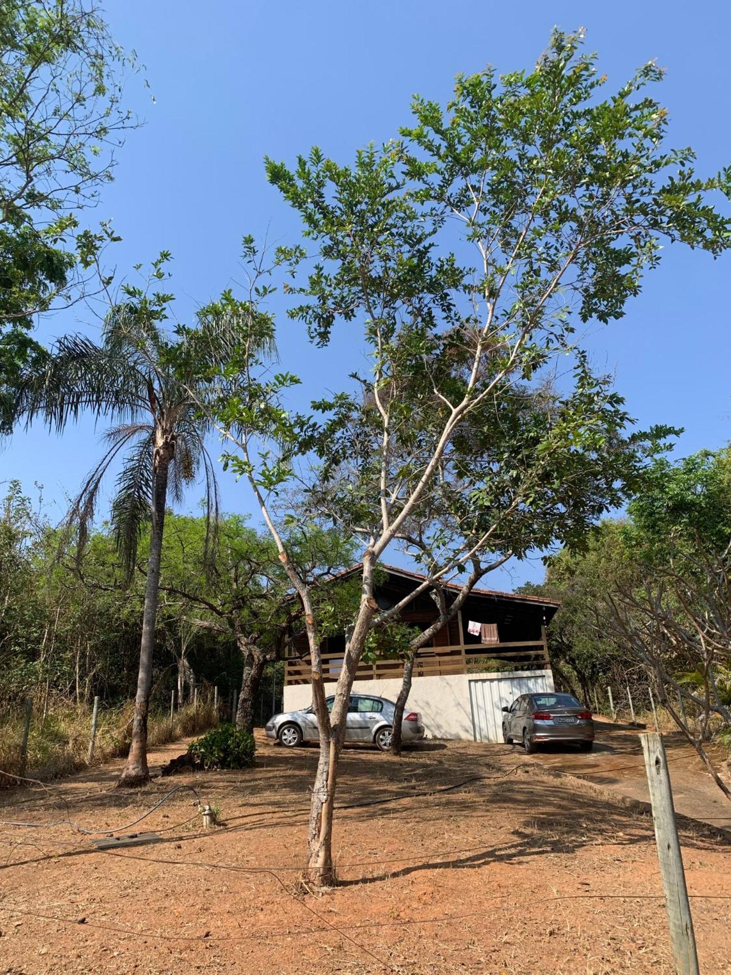Willa Casa Madeira Em Santo Hilario Pimenta  Zewnętrze zdjęcie