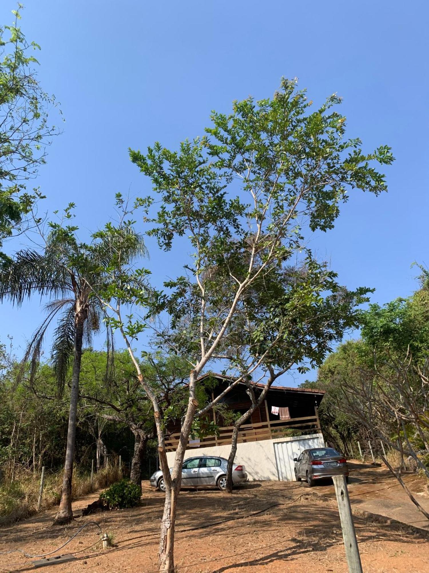 Willa Casa Madeira Em Santo Hilario Pimenta  Zewnętrze zdjęcie